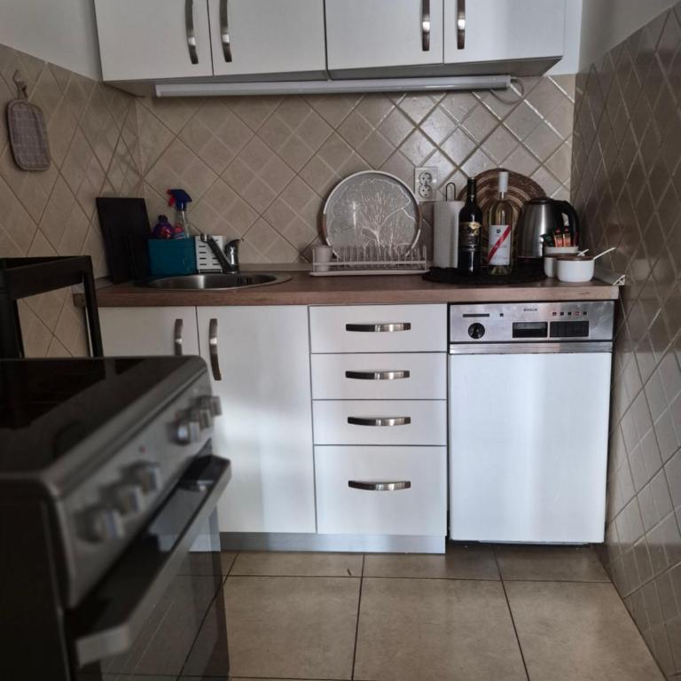 Stan Duo - Apartman sa 2 Spavaće Sobe - 22