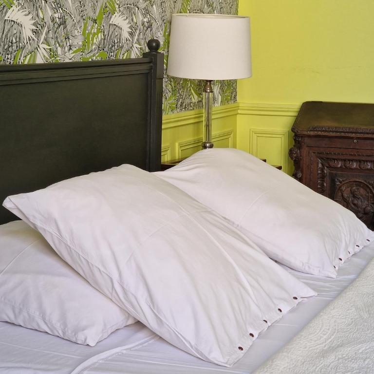 Palais de Luppé, Chambre d'hôtes - Camera Matrimoniale - 10