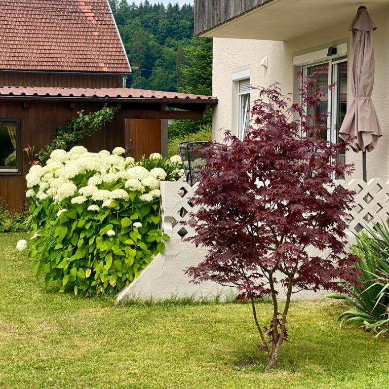 Ferienwohnung Schmid Lautrach im Illerwinkel - Familien-Apartment mit 2 Schlafzimmern - 20