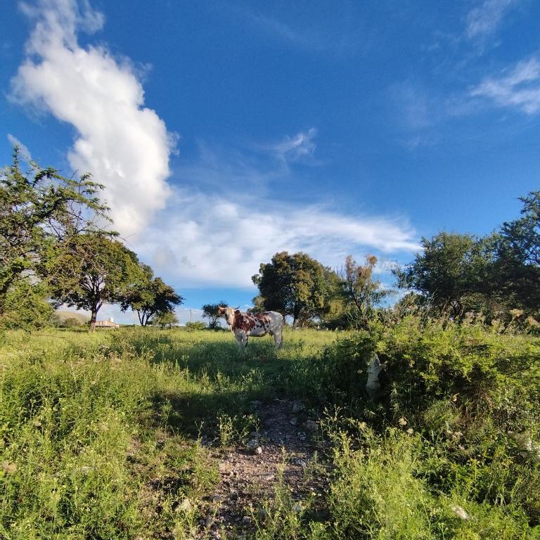 Mirador serrano - Room #1585179901 - 14