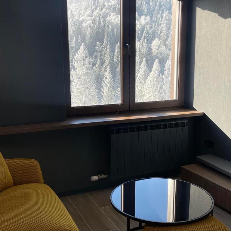 Nova Planina Jahorina - Family Two-Bedroom Apartment with View - 3