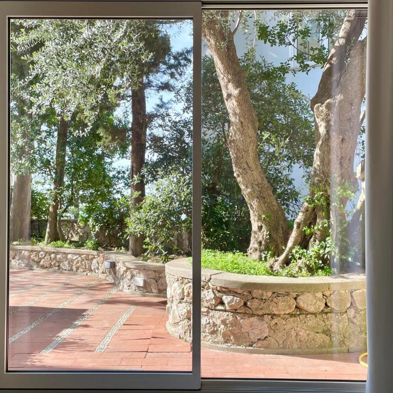 Villa Olive - Villa con Vista Mare - 44