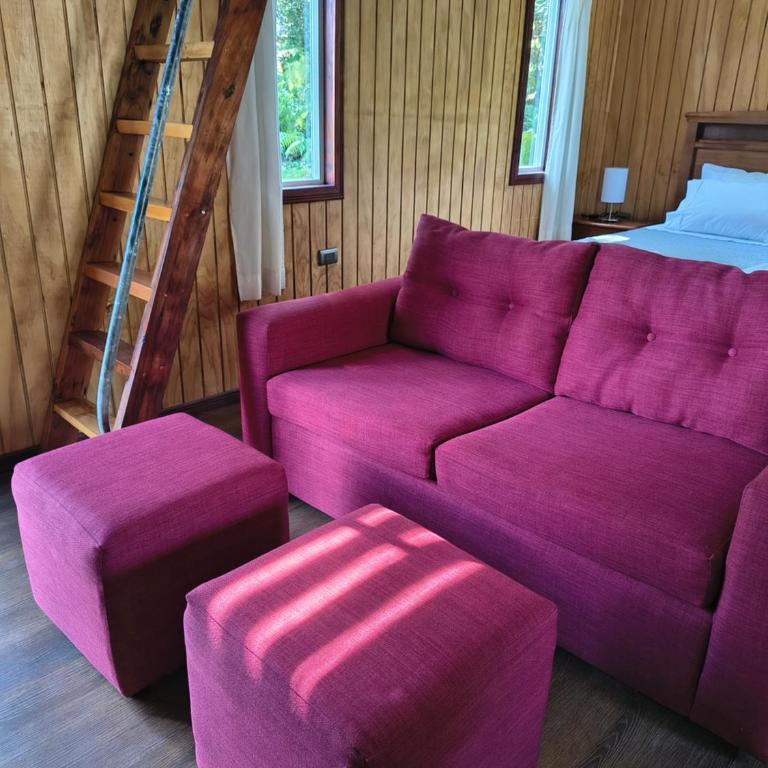 Cabañas CyG - Chaitén - Two-Bedroom House - 9