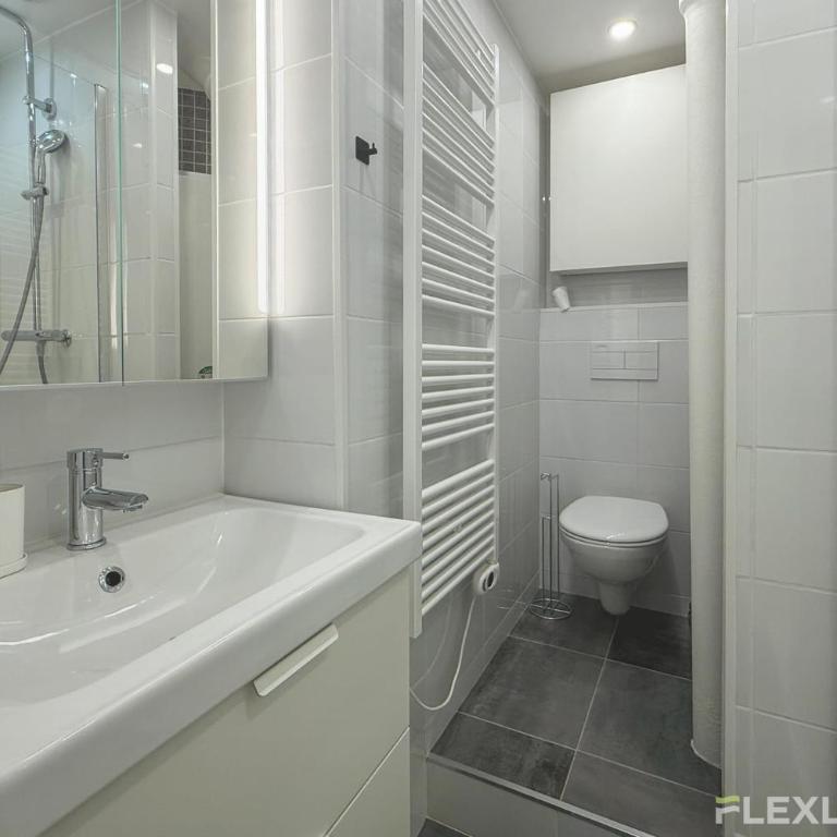 Dans l'incontournable Montmartre T2 cosy & central - Appartement - 11