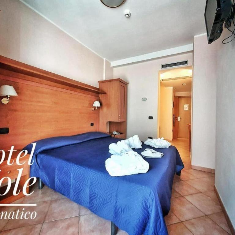 Giole Hotel - Camera Matrimoniale/Doppia con Letti Singoli con Balcone - 15