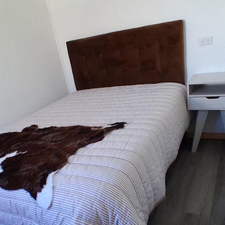 Red cat house - One-Bedroom Apartment - 5