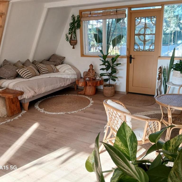 Casa Magia Concon Chile Pet friendly - Room #1585252301 - 21