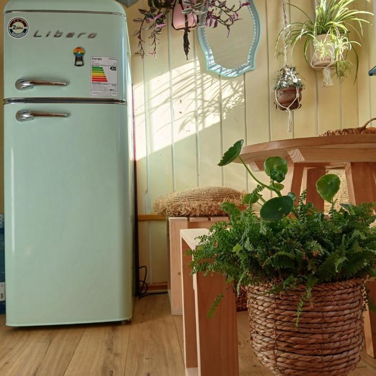 Casa Magia Concon Chile Pet friendly - Room #1585252301 - 38