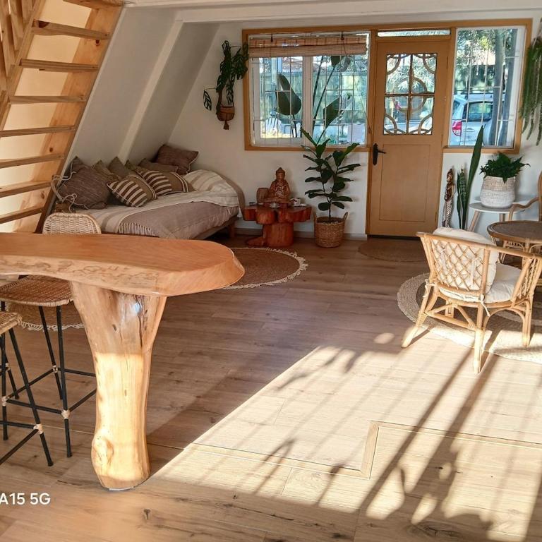 Casa Magia Concon Chile Pet friendly - Room #1585252301 - 29