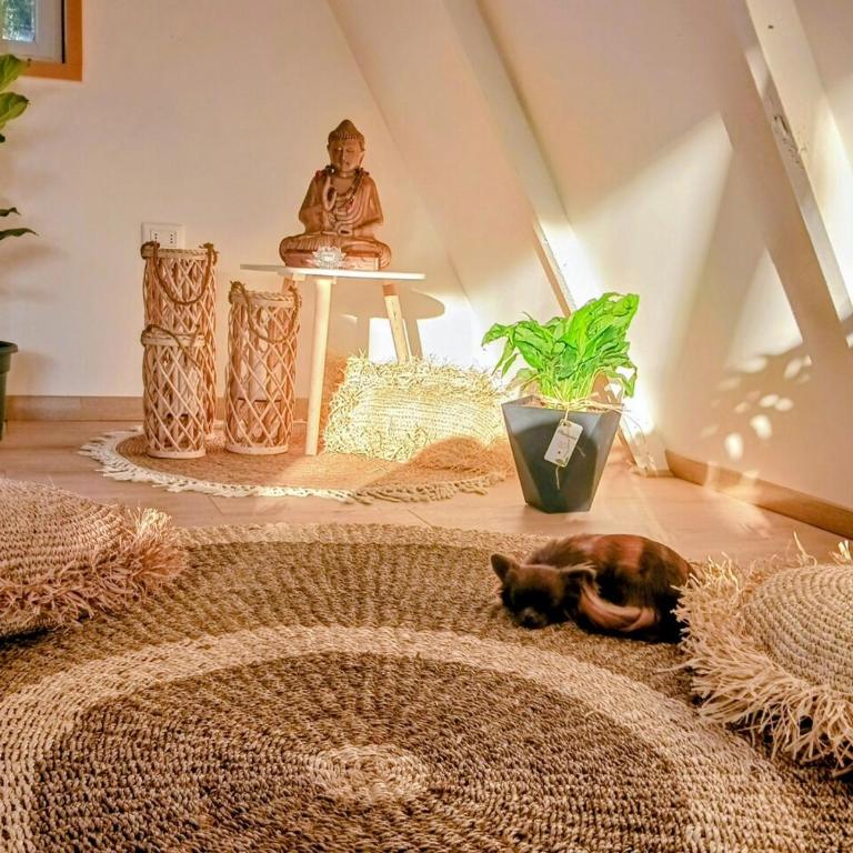 Casa Magia Concon Chile Pet friendly - Room #1585252301 - 20