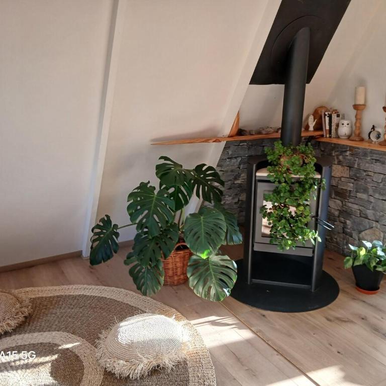 Casa Magia Concon Chile Pet friendly - Room #1585252301 - 36