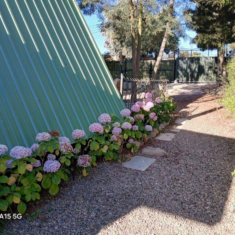 Casa Magia Concon Chile Pet friendly - Room #1585252301 - 11