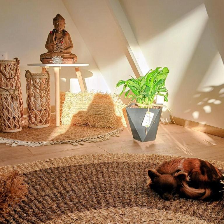 Casa Magia Concon Chile Pet friendly - Room #1585252301 - 19