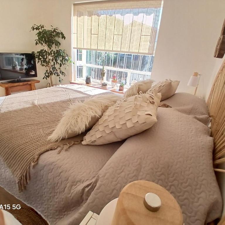 Casa Magia Concon Chile Pet friendly - Room #1585252301 - 49