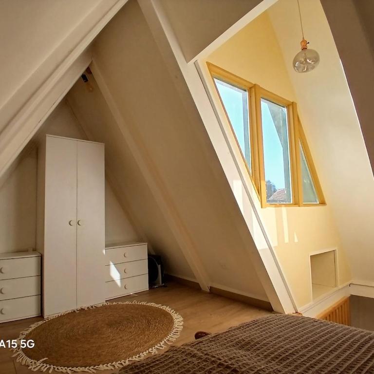 Casa Magia Concon Chile Pet friendly - Room #1585252301 - 56