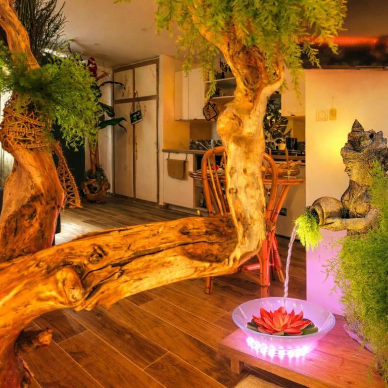 Jungle Spa - Cocon tropical et romantique avec balnéo en plein coeur de Pézenas ! - Appartement 1 Chambre - 8