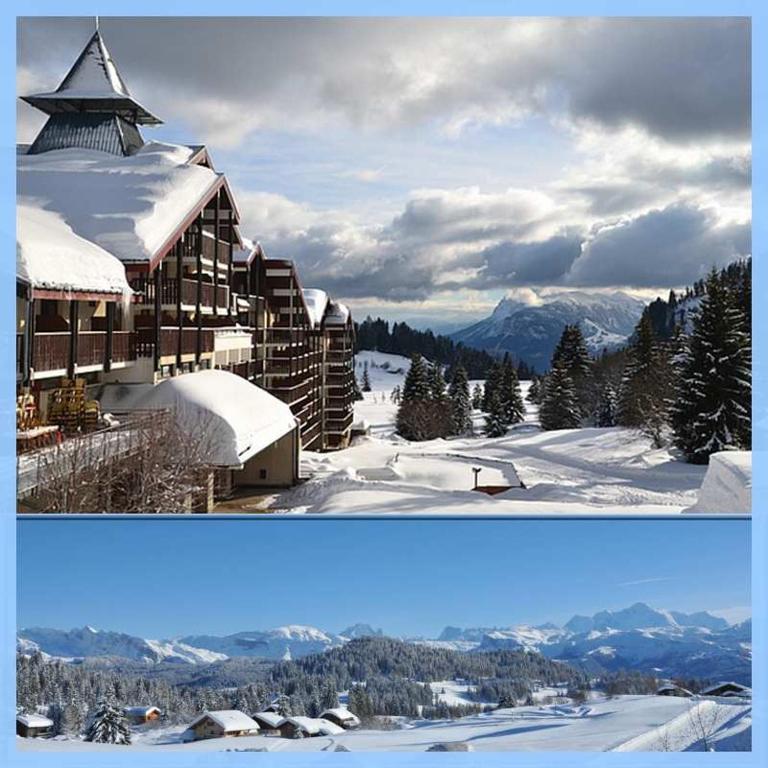 Les Terrasses du Mont blanc - Appartement avec Balcon - 1