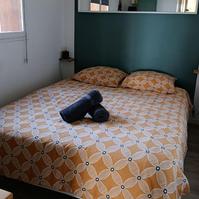 T3, 2 chambres 60m2 piscine, tennis vue sur lac - Appartement 2 Chambres - 6