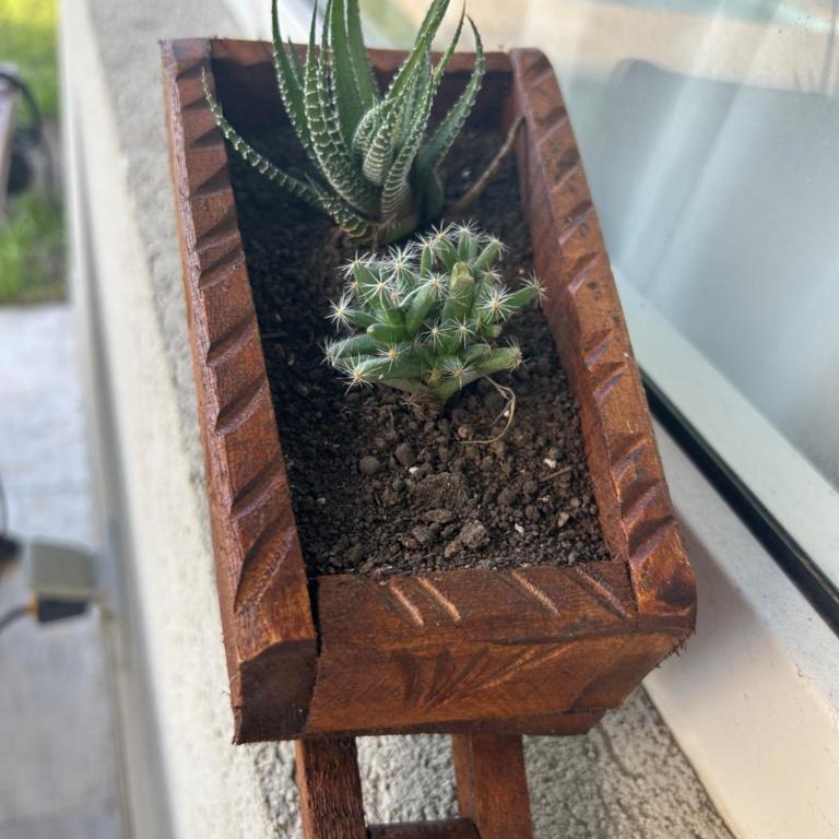 Loft Complejo de Lago - Room #1585291901 - 9