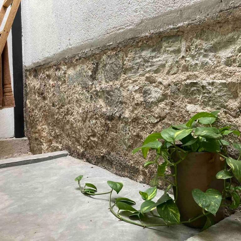 Luminoso exuberante y hermoso refugio - Apartamento de 1 dormitorio - 26