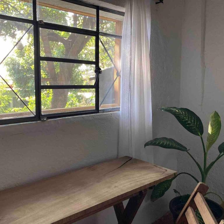 Luminoso exuberante y hermoso refugio - Apartamento de 1 dormitorio - 18