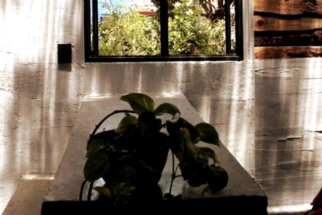Luminoso exuberante y hermoso refugio - Apartamento de 1 dormitorio - 7