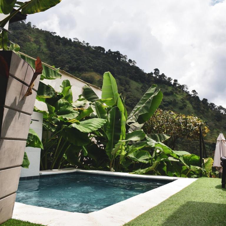 Animadbali - Chalet Superior - 14