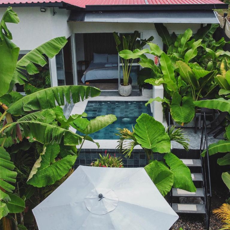 Animadbali - Chalet - 10