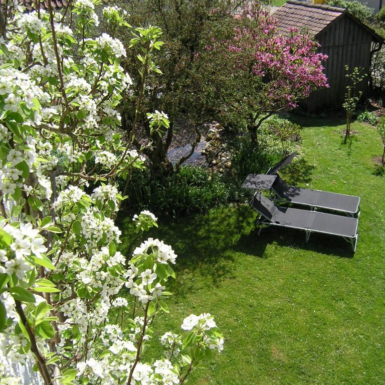 Blütenperle - altstadtnah im Grünen - - Apartment mit 2 Schlafzimmern - 16