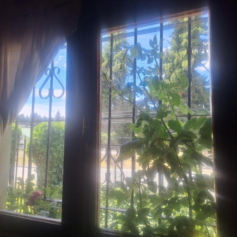 Casa amplia cerca del centro Con jardin parrilla y parking - Room #1585314801 - 5