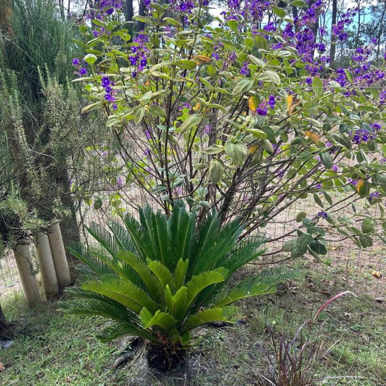 La Serena de Los Cocos - Room #1585317201 - 21