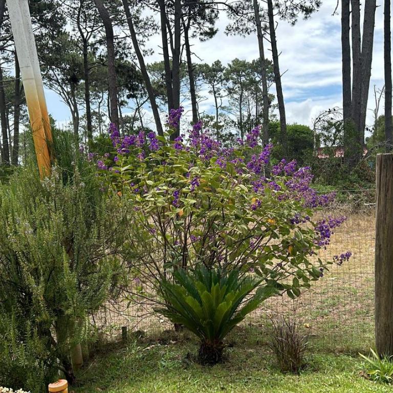 La Serena de Los Cocos - Room #1585317201 - 29