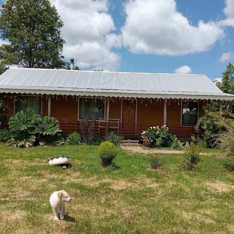 Casa al sur de chile - Three-Bedroom House - 17