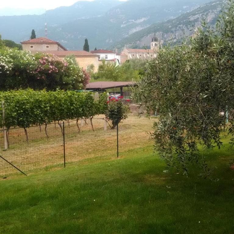 Casa Torboli 2 - Appartamento - Piano Terra - 1