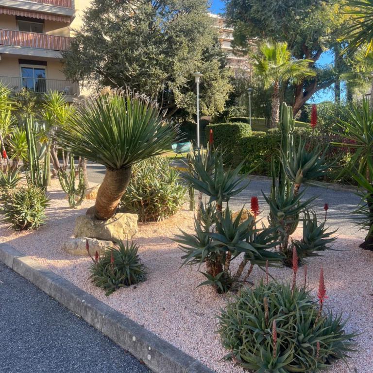 Eden Parc Tamaris 2 - Appartamento con 1 Camera da Letto - 19