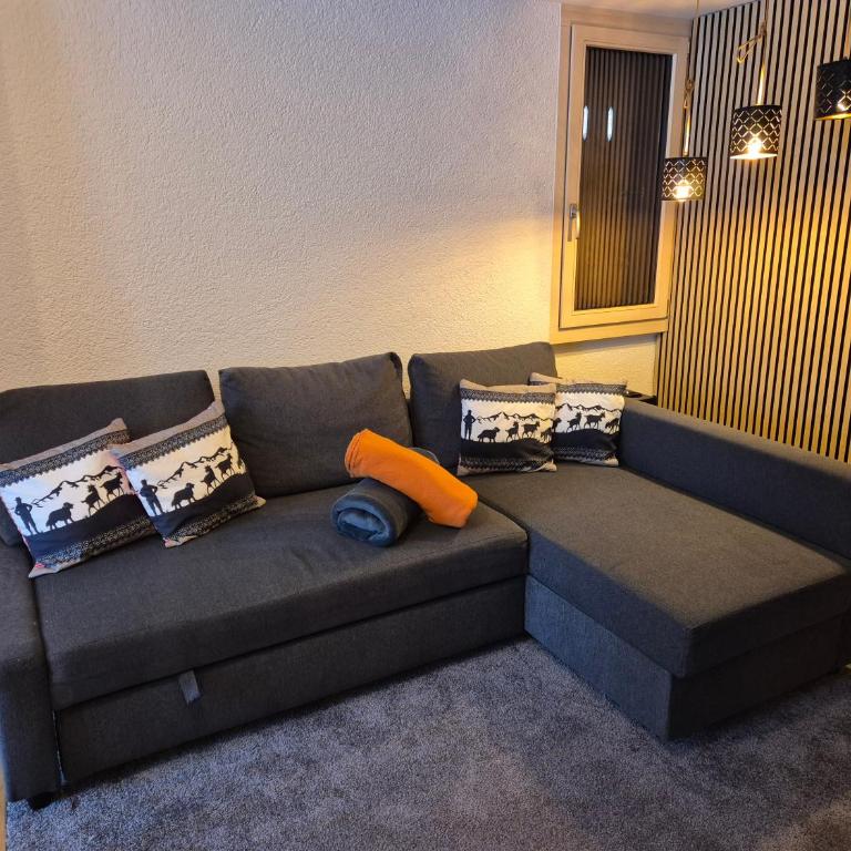 ABO - Boutique Apartment - Chalet Grindelwaldgletscher - Appartement 1 Chambre - 7