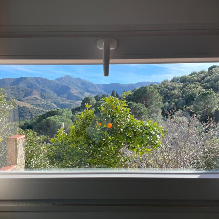 Entre Vignes & Montagne - Neuf & Climatisé - Two-Bedroom Apartment - 9