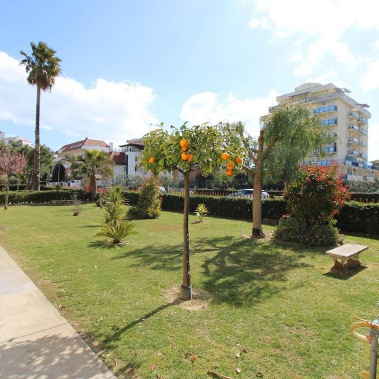 Amsterdam Apartment, vicino al mare Rif A007 - Appartamento con 1 Camera da Letto - 26