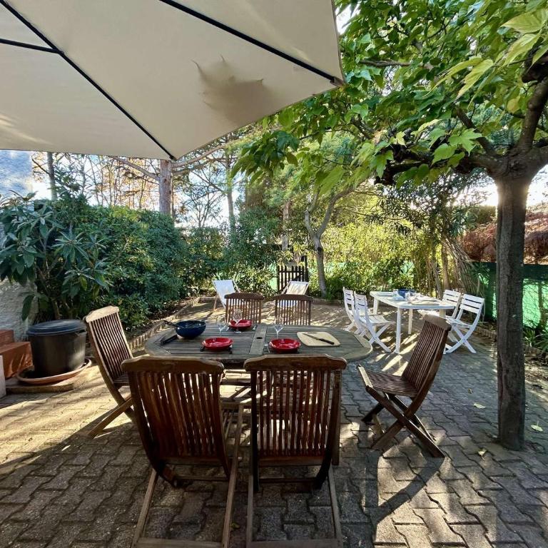 Jolie maison avec terrasse Saint Cyprien Plage SC175-489 - Maison 3 Chambres - 23