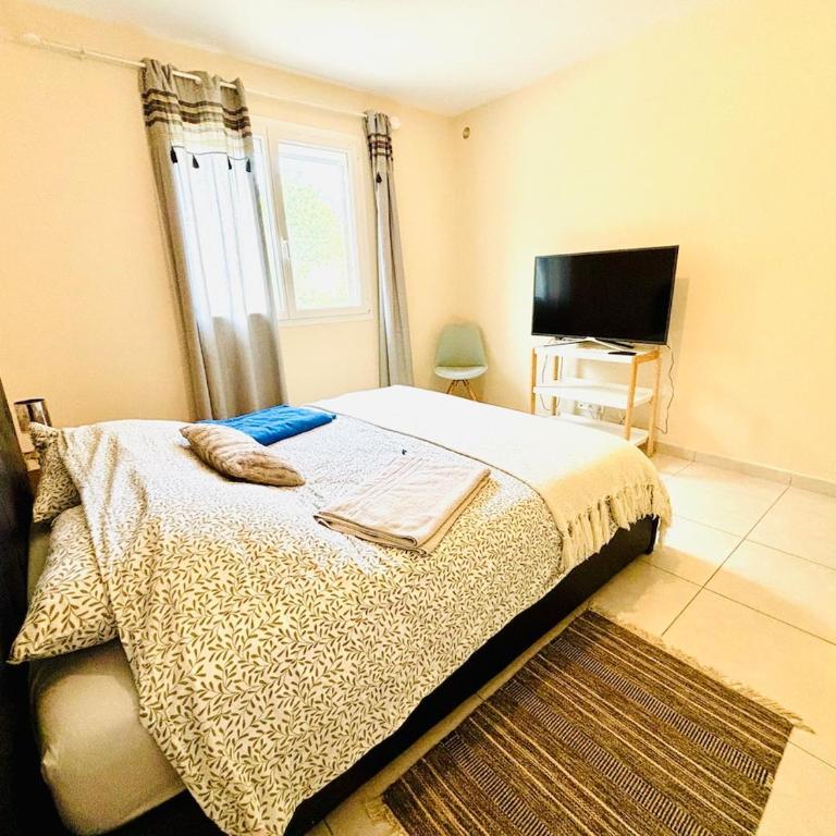 Villa Provençale 10 pers, Piscine Chauffée, Spa Jacuzzi, 20 min Cannes-Nice - Villa - 39