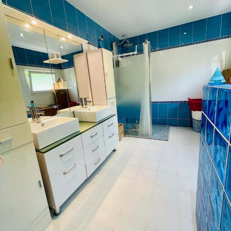 Villa Provençale 10 pers, Piscine Chauffée, Spa Jacuzzi, 20 min Cannes-Nice - Villa - 43