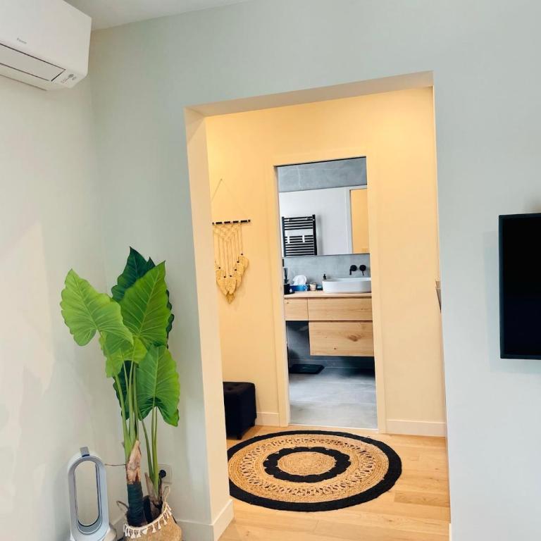 Villa Provençale 10 pers, Piscine Chauffée, Spa Jacuzzi, 20 min Cannes-Nice - Villa - 62