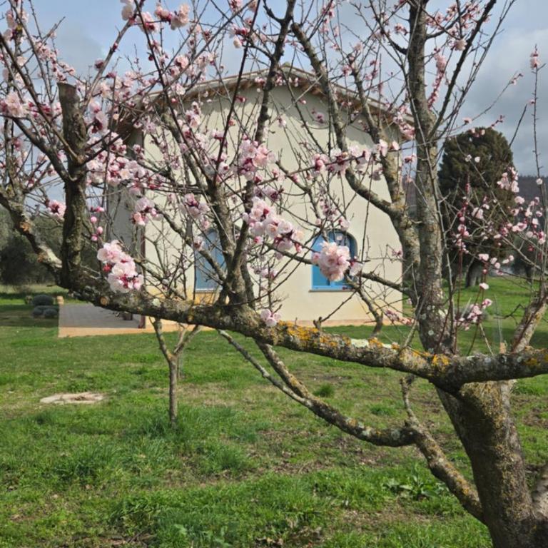 La Traversa Di Bolsena - Villa Superior - 74