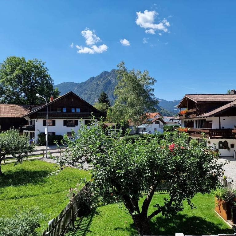 Bergwiesglück - Apartment - 16