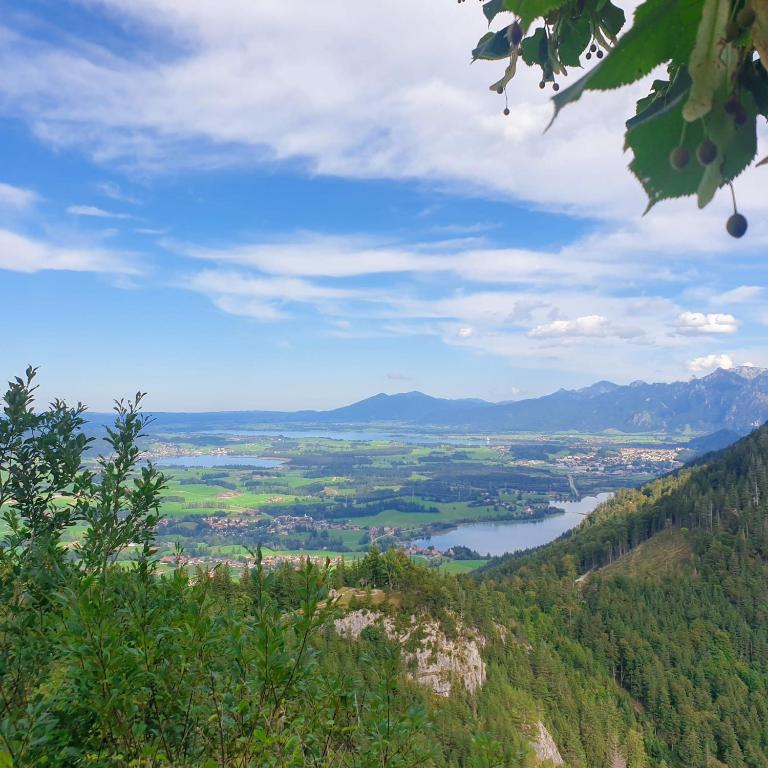 Zugspitzblick - Apartment - 17