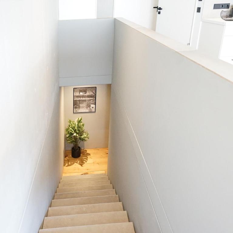 Erlebnisquartier Allgäu! - Apartment - 10