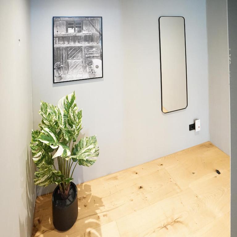Erlebnisquartier Allgäu! - Apartment - 12