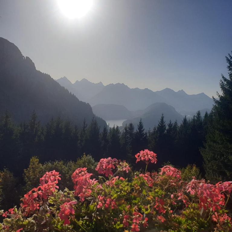 Alpenhimmel - Apartment - 13