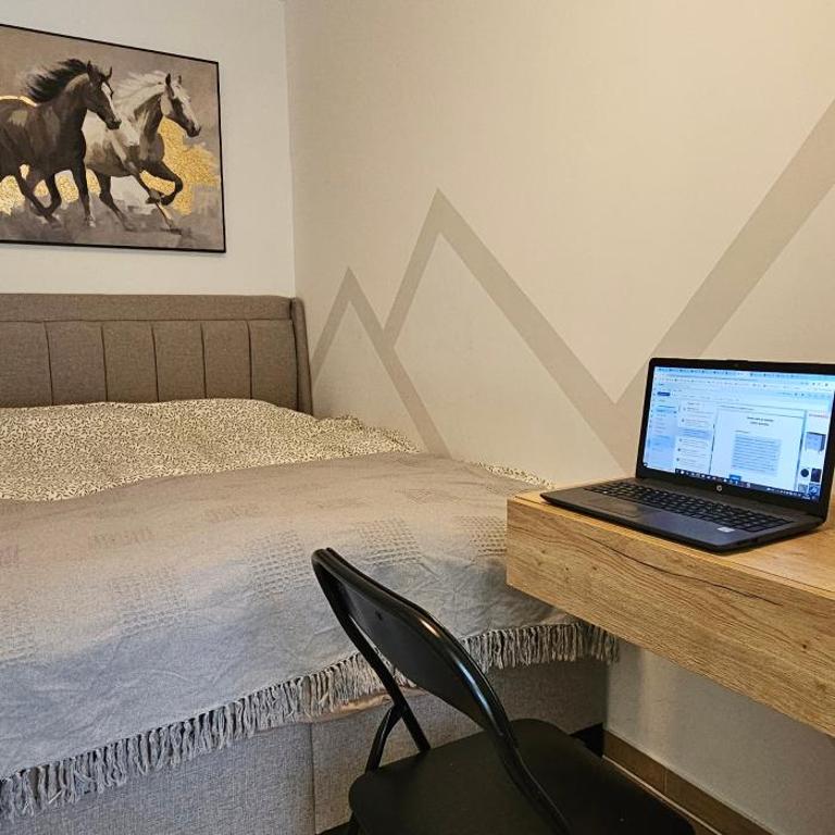 Valena 1 Divčibare - Apartman sa 1 Spavaćom Sobom - 33