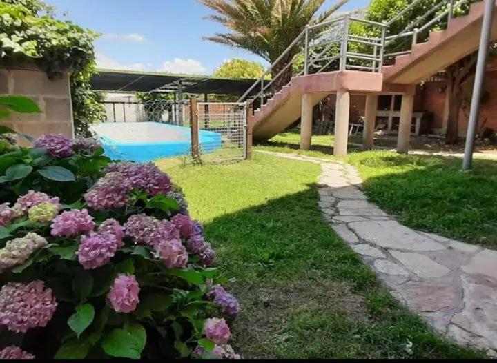 Dam sire - Room #1585525401 - 9